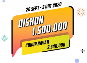 diskin 1 500